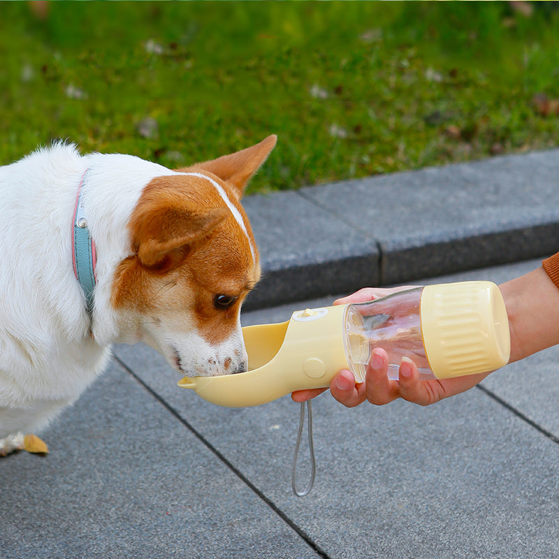 Dog drinking from a TrailSip bottle beside an outdoor path